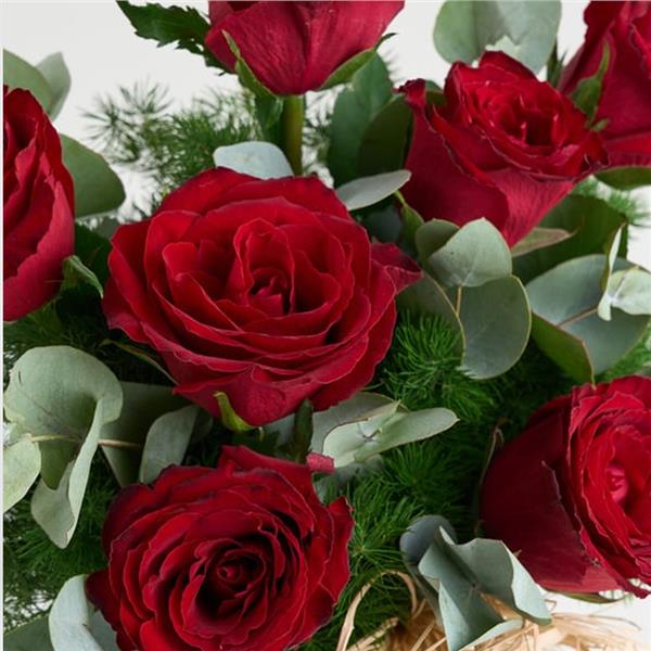 Kristal Cam Vazoda 7'li Kırmızı Gül