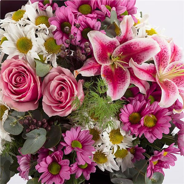 Pembe Lilyumlar ve Papatyalar