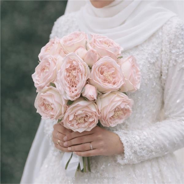 Islak Şakayık (Premium Garden Peony)