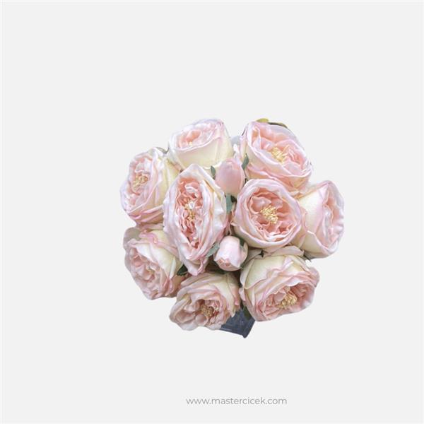 Islak Şakayık (Premium Garden Peony)