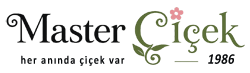 Master Çiçek